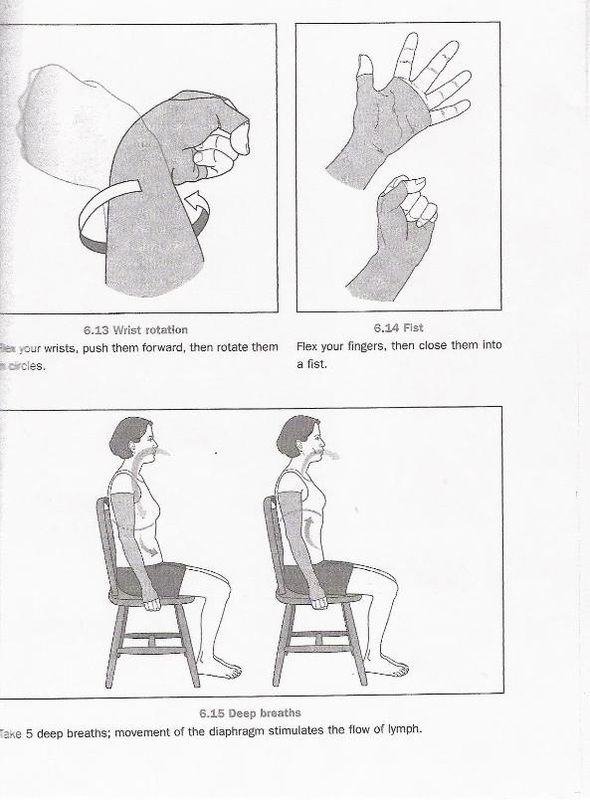 Exercises Courtesy of the American Cancer Society - Lymphland ...